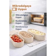 Techbutiq Store Saklama Kabı Seti, Mikrodalgaya Uygun – 2,1 L / 1,2 L / 800 ml / 400 ml Krem