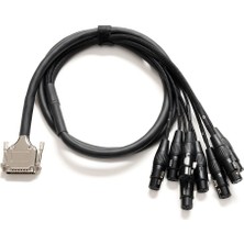 Warm Audio Wa Premium DB25-XLR F Kablo (3 M)