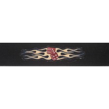 Planetwaves 64P05 Gitar Askısı 64MM Dokuma Flamıng Dıce
