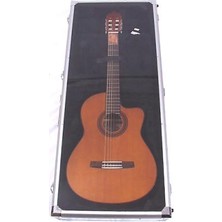Valencia Valencıa DSC420 Akustik Gitar Teşhir Çantası (Dreadnought Show Cas