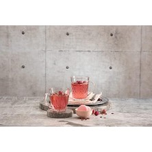 Yakestore Ruby Fıncan/kupa 265 cc 6'lı Hediyelik Kutu