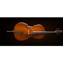 Valencia Valencıa CE160F44 Cello 4/4 Scale +Kılıf+Yay, Karartılmış Akçaağaç B