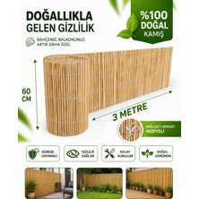 Polybotum Premium Doğal Kamış Hasır Balkon Çiti 60X300 cm | Sık Dokuma | Dayanıklı | Bahçe, Teras ve Balkon Için Dekoratif Gizlilik Çiti