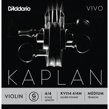 Daddarıo KV314 Keman Tek Tel, Kaplan Vıvo, Scale Length 4/4, G-(S