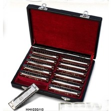Valencia Valencıa HM1020-12 Mızıka Set 12' Li
