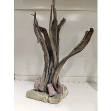 Orijin Akvaryum Dekoru Quartz Taşlı Mango Köklü 30 cm