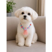Pawellia Şık Tasarım Kedi Tasması Kedi Kolyesi Küçük Irk Köpek Tasması Köpek Kolyesi Fiyonk Figürlü