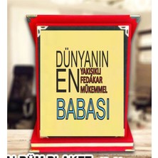 Baba Plaketi Babakar Günü Plaketi Canım Babam Plaketi Babaya  Hediye Yılın Babası Plaketi
