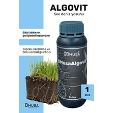 Bmusa Algovit 1 Lt Sıvı Deniz Yosunu