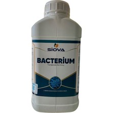 Siova Bacterium Mikrobiyal Gübre 5lt