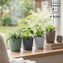 ToXA 4'lü Pina Saksı Seti 0,7 Litre (11cm) 4 Adet Tabaklı ve Drenaj Delikli Plastik Çiçek Saksısı Set