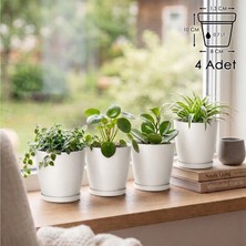 ToXA 4'lü Pina Saksı Seti 0,7 Litre (11cm) 4 Adet Tabaklı ve Drenaj Delikli Plastik Çiçek Saksısı Set