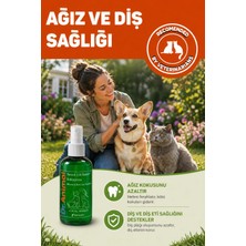 Dr. Animal 250 ml Yara ve Cilt Bakım Solüsyonu Doğal İçerik ile Evcil Dostlar İçin Derin Temizlik