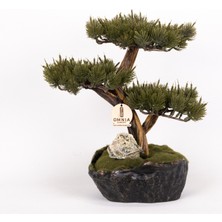 Omnia Concept Calipso Bonsai-4 Masaüstü Kullanıma Uygun Mini Yapay Bonsai Ağacı - 30X40 cm