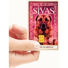Huggy Craft Sivas - The Guardian Pembe Kart Kaplama Sticker Kart Etiketi (Yüksek Kaliteli Hologramlı Baskı)