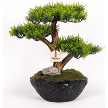 Omnia Concept Calipso Bonsai-1 Masaüstü Kullanıma Uygun Mini Yapay Bonsai Ağacı - 30X40 cm