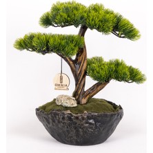 Omnia Concept Calipso Bonsai-3 Masaüstü Kullanıma Uygun Mini Yapay Bonsai Ağacı - 30X40 cm