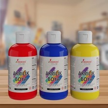 Aesco Kırmızı-Mavi-Sarı Akrilik Boya 3'lü Set 3X250GR