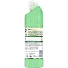 Aesco Yoğun Kıvamlı Çamaşır Suyu Bio Active 750 ml