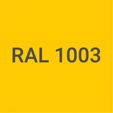Pamukkale 4530 Solventli Epoksi Zemin Boyası 21 kg Ral 1003 Sinyal Sarısı