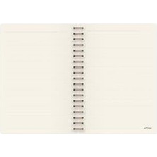 Aesco Marble Spiralli Defter Çizgili Rise 17X24 cm