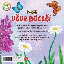 Aesco Küçük Uğur Böceği