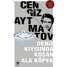 Aesco Deniz Kıyısında Koşan Ala Köpek