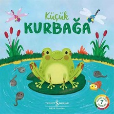 Aesco Küçük Kurbağa
