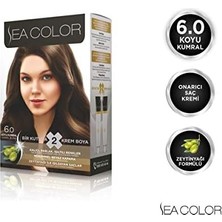 Aesco 6.0 Koyu Kumral Set Boya