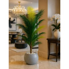 Altun Çiçekcilik Yapay Areka Ağacı 150 cm Lux Saksı Dahildir