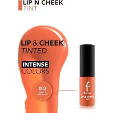 Aesco Lip & Cheek Tint - Mat ve Kalıcı Su Bazlı Likit Dudak/yanak Renklendiricisi 003 Aprıcot Marmalade