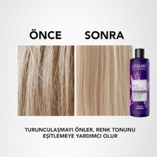 Aesco Care Turunculaşma Karşıtı Mor Saç Bakım ŞAMPUANI-250 Ml-Sülfatlı