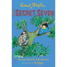 Aesco Secret Seven: Secret Seven Adventure: Book 2