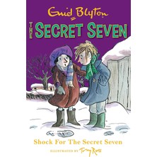 Aesco Secret Seven: Shock For The Secret Seven: Book 13