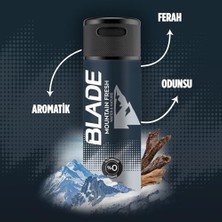 Aesco Mountain Fresh Roll On, 50 Mililitre