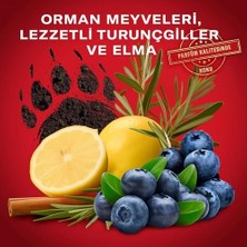Aesco Bearglove Erkekler Için Duş Jeli ve Şampuan 400 ml