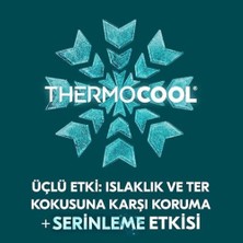 Aesco Men Thermocool Erkek Sprey Deodorant Menthol & Blue Lavender 150 ml