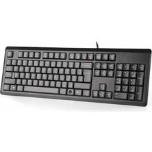 Aesco Kr-92 Q USB Türkçe Fn-Multimedya Siyah Klavye