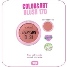 Aesco Callista Art Blush Toz Allık - 170