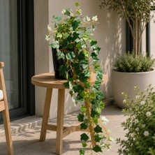 Dekorsende Yapay Hedera Sarkıt Sarmaşık Parlak 95 cm
