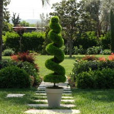 Dekorsende Yapay Spiral Selvi Ağaç 160 cm