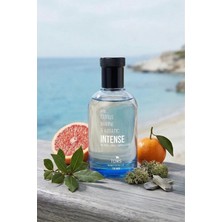 TDRS Tudors Intense Aquatic Özel Seri Uzun Süre Kalıcı 100 ML EDC Erkek Parfüm