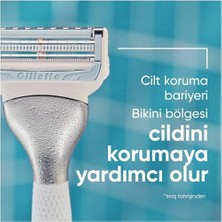Palmira Demir Venus Bikini Bölgesine Özel 3 Adet Yedek Başlık
