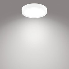 Palmira Demir Magneos Yuvarlak Tavan Lambası 12W 1350 Lumen 4000K Gün Işığı (21 Cm)