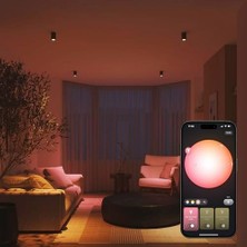 Palmira Demir Hue Essential 4.7W GU10 345 Lumen Renkli Akıllı Spot Ampul