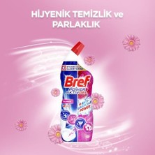 Palmira Demir Wc Power Aktiv Jel Çiçek Kokulu Tuvalet Temizleyici 1 x 700 Ml, Jel Çiçek 700 ml