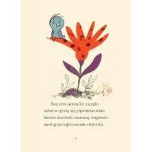 Palmira Demir Ayı ile Kuş - Piknik ve Diğer Öyküler