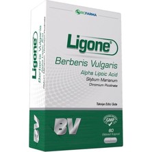 Palmira Demir Ligone Berberis Complex 60 Kapsül Aromasız Renkli