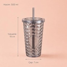 Palmira Demir Pipetli Mika Bardak 500 Ml, Kapaklı ve Pipetli Içecek Bardağı, Soğuk Kahve Meşrubat Smoothie ve Günlük Kullanım Için Pratik Plastik Bardak (Siyah)