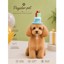 Kedi/köpek Doğum Günü Şapkası - Evcil Hayvan Parti Şapkası